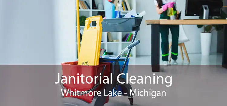 Janitorial Cleaning Whitmore Lake - Michigan