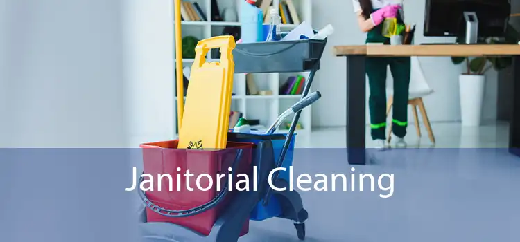 Janitorial Cleaning 