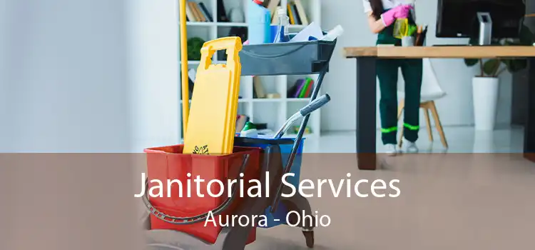 Janitorial Services Aurora - Ohio