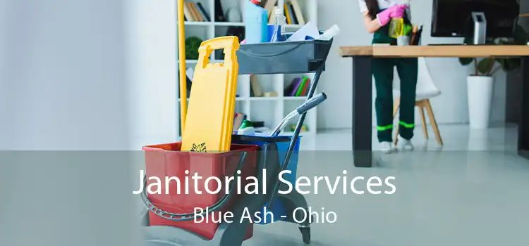 Janitorial Services Blue Ash - Ohio