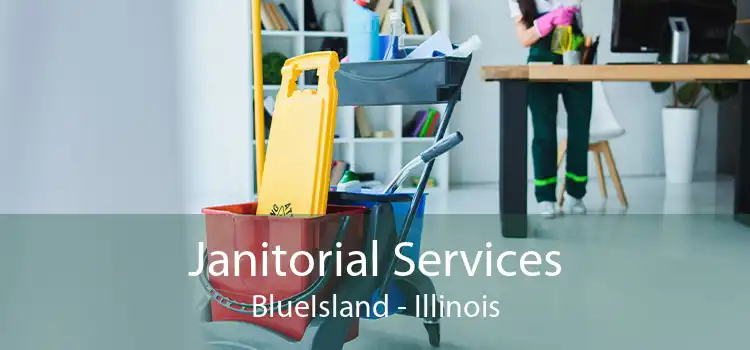 Janitorial Services BlueIsland - Illinois