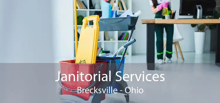 Janitorial Services Brecksville - Ohio