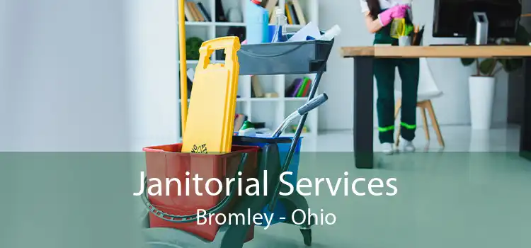 Janitorial Services Bromley - Ohio
