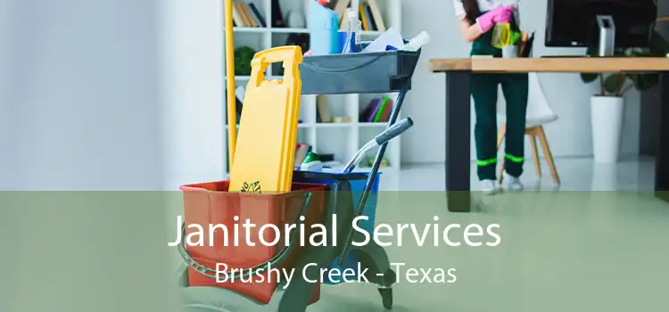 Janitorial Services Brushy Creek - Texas