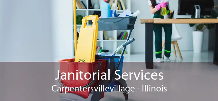 Janitorial Services Carpentersvillevillage - Illinois