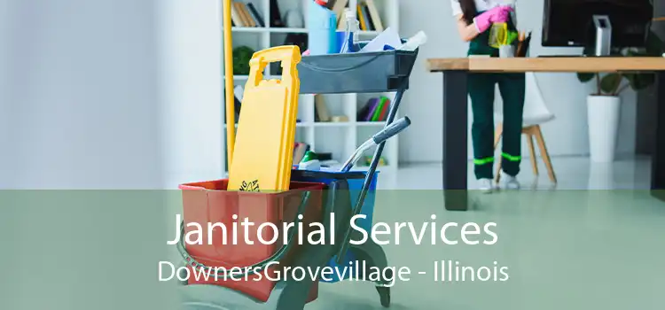 Janitorial Services DownersGrovevillage - Illinois