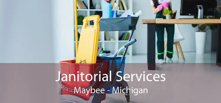 Janitorial Services Maybee - Michigan