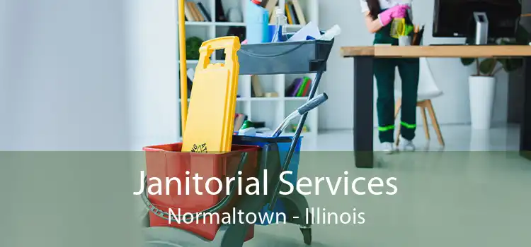 Janitorial Services Normaltown - Illinois