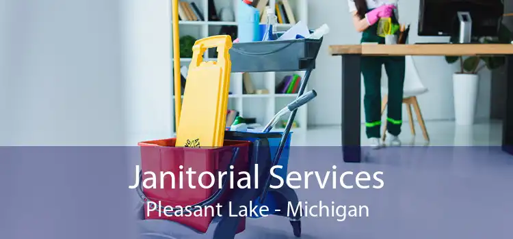 Janitorial Services Pleasant Lake - Michigan