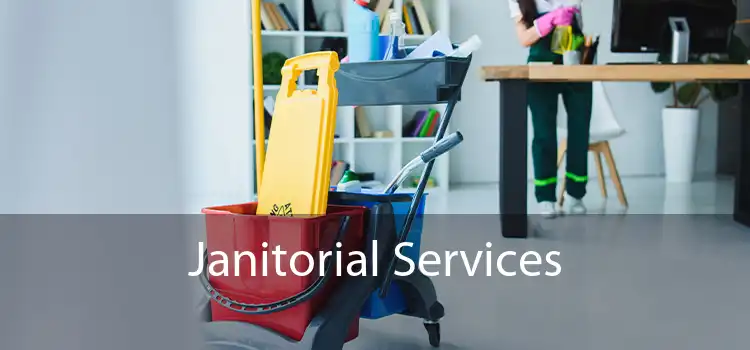 Janitorial Services 